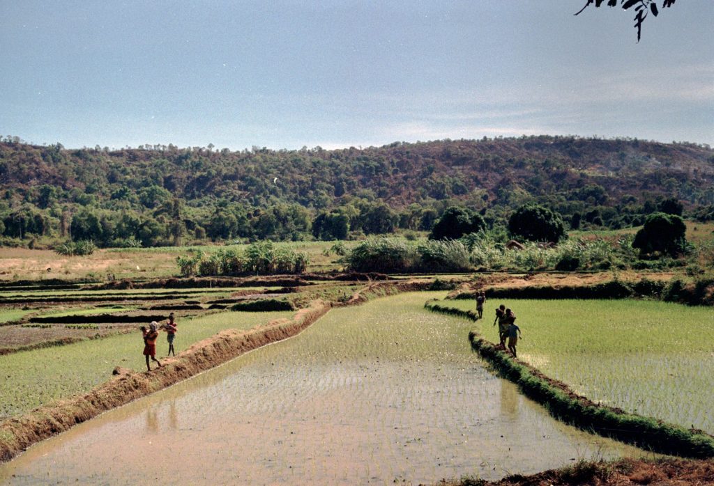 Madagascar – photograph by Raphaël Molina (25/34)