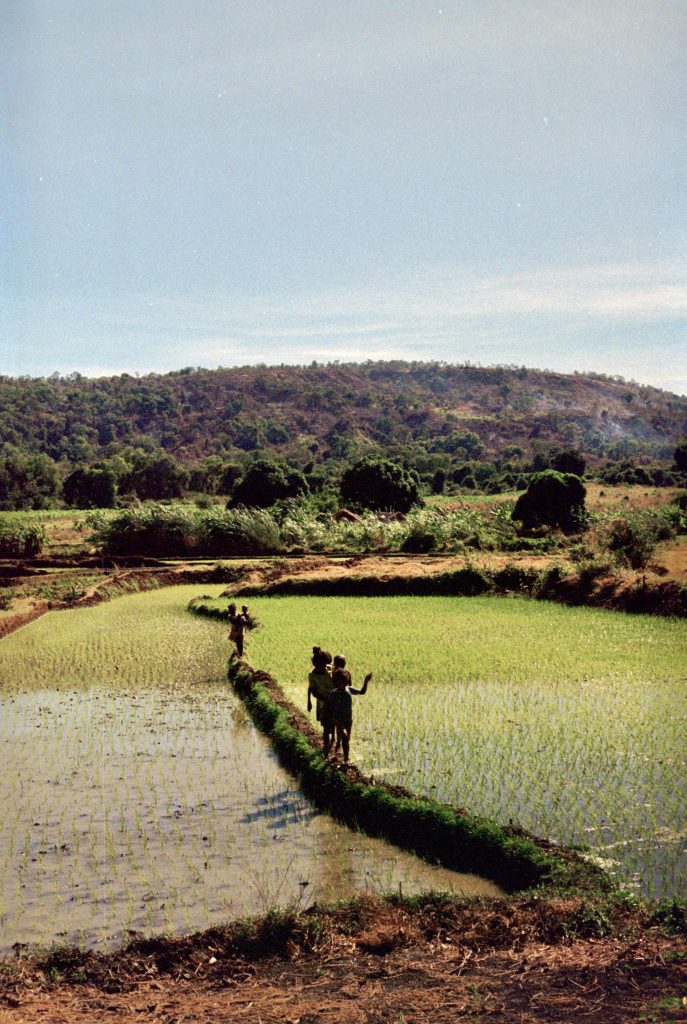Madagascar – photograph by Raphaël Molina (5/34)