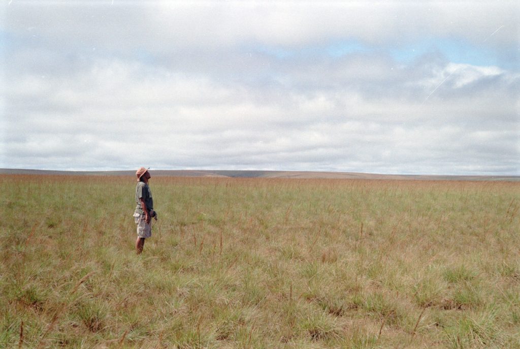 Madagascar – photograph by Raphaël Molina (6/34)