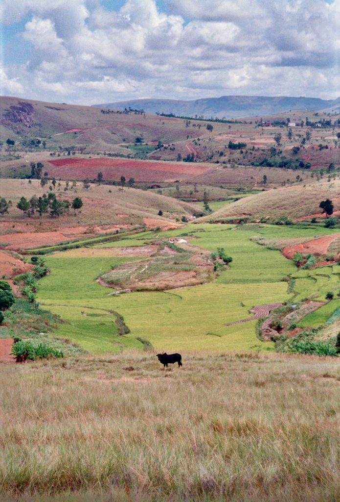 Madagascar – photograph by Raphaël Molina (12/34)