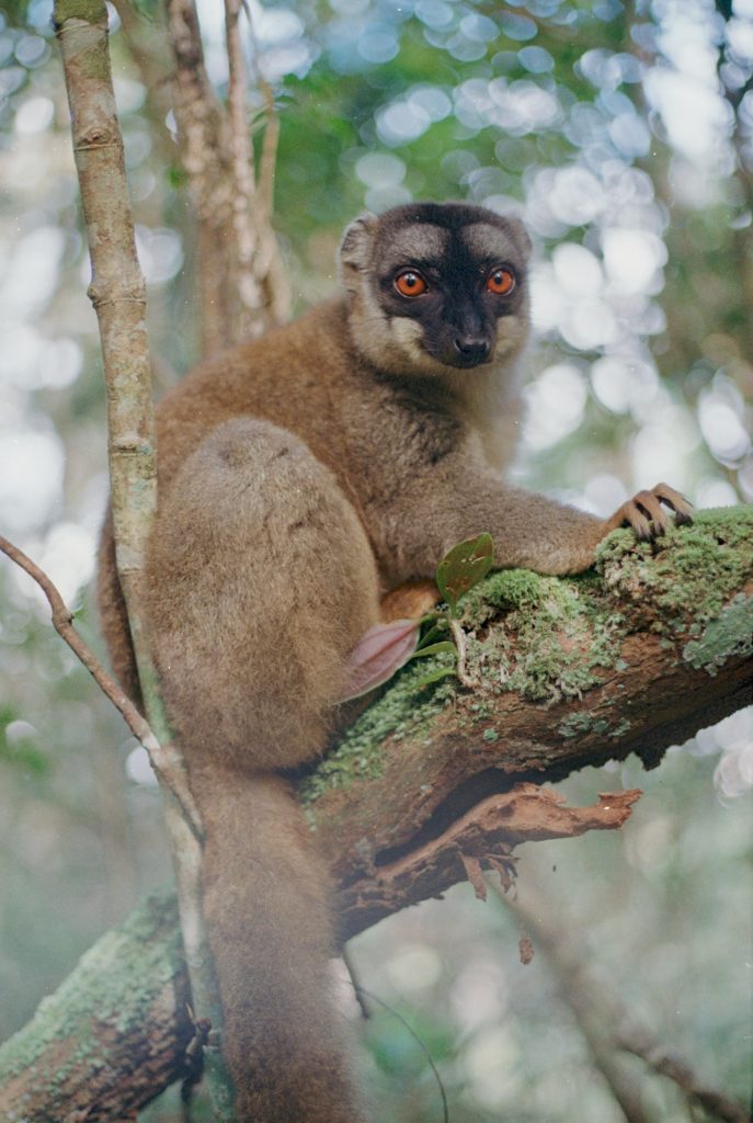 Madagascar – photograph by Raphaël Molina (18/34)