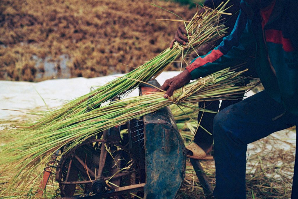 Madagascar – photograph by Raphaël Molina (32/34)