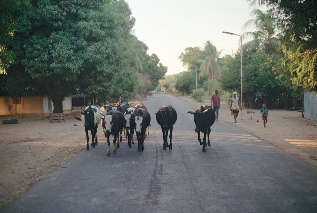 Madagascar – photograph by Raphaël Molina (24/34)