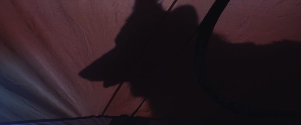 Rumeur du monde – screenshot 10, image Raphaël Molina
